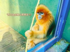 -大连森林动物园