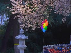 -木塔寺遗址生态公园