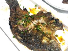 烤鲫鱼-庞家烧烤客栈(炮台山店)