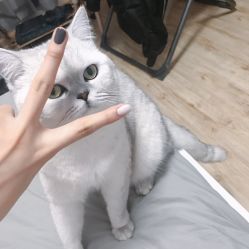 -绘甲社NACHO&DAI SALON