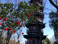 -上海佘山国家森林公园西佘山园