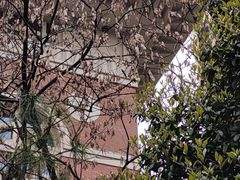 -长沙市青少年宫