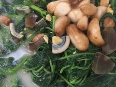 上汤苋菜-腰记饭店(龙源路店)