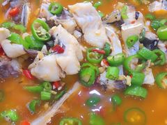农家一锅炖-全乐鱼馆·淳牌有机鱼直营店