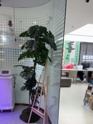 -碧莲盛·脱发养发中心