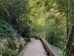-蜀南竹海景区