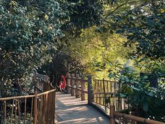 -小洲村
