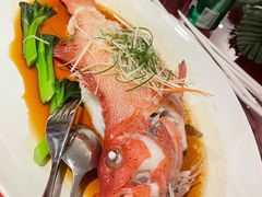 -Yan Ting 宴庭中餐厅(上海静安瑞吉酒店)