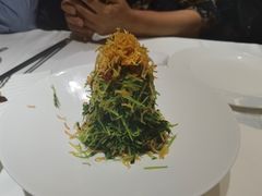 巧拌豆苗-四季民福烤鸭店(故宫店)