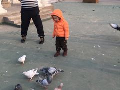 -月亮河温泉度假酒店