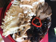 -食鲜捞火锅(湖西路店)
