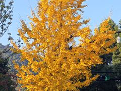 -杭州半山国家森林公园