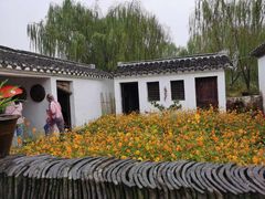 -溱湖国家湿地公园