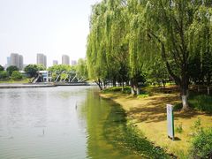 -白塘生态植物园