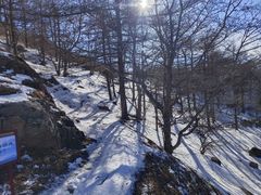 -偏爱炒鸡(老县衙店)