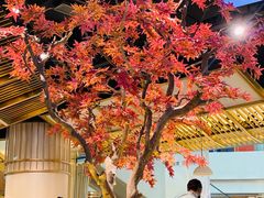 -滇色蒸汽石锅鱼(京华城店)