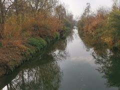 -白鹭湾湿地公园