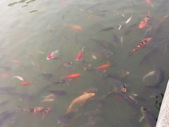 -刘家峡水库