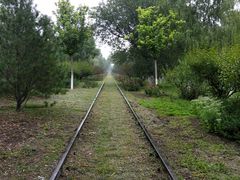 -永定河休闲森林公园