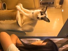 -藦茜花园宠物主题亲子互动体验馆(国顺东路店)