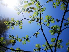 -藏龙百瀑风景区