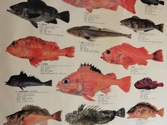 -镹·鱼料理  国产鱼使用店