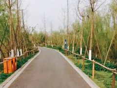 -白鹭湾湿地公园