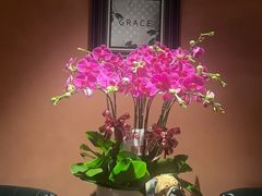 -霖公馆SPA·足道(普善路店)