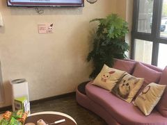 -宠爱国际动物医院·消化内科·心肾内科·ISFM猫友好(望京店)
