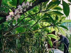 -吴哥国家博物馆