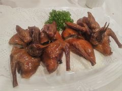 红烧乳鸽-天鲜阁·海鲜粤菜·33年老字号(石槎白云站店)