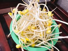 豆芽-水碾河肥兔火锅(水碾河店)