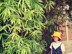-晋江五店市传统文化旅游区