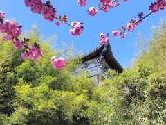 -石老人观光园