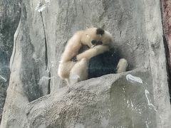 -南昌动物园