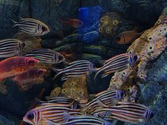 -成都浩海立方海洋公园