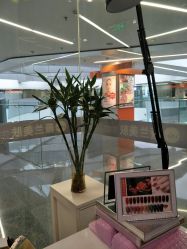 -薇兰专业脱毛连锁机构