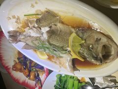 -四小姐的店(泉舜店)