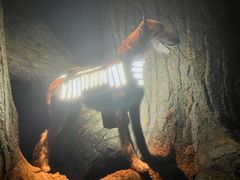 -九又四分之三站台哈利波特商店