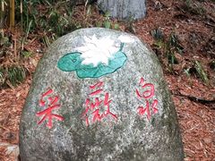 -三江森林温泉度假区