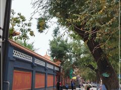 -哈尔滨极乐寺
