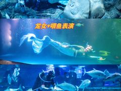 -南京海底世界