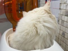 -联合动物医院(光谷诊疗中心)