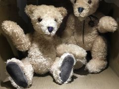 -济州岛泰迪熊博物馆