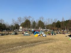 -夏河溪乡野公园