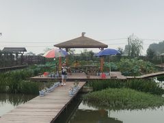 -同銮特种养殖场·龙虾垂钓