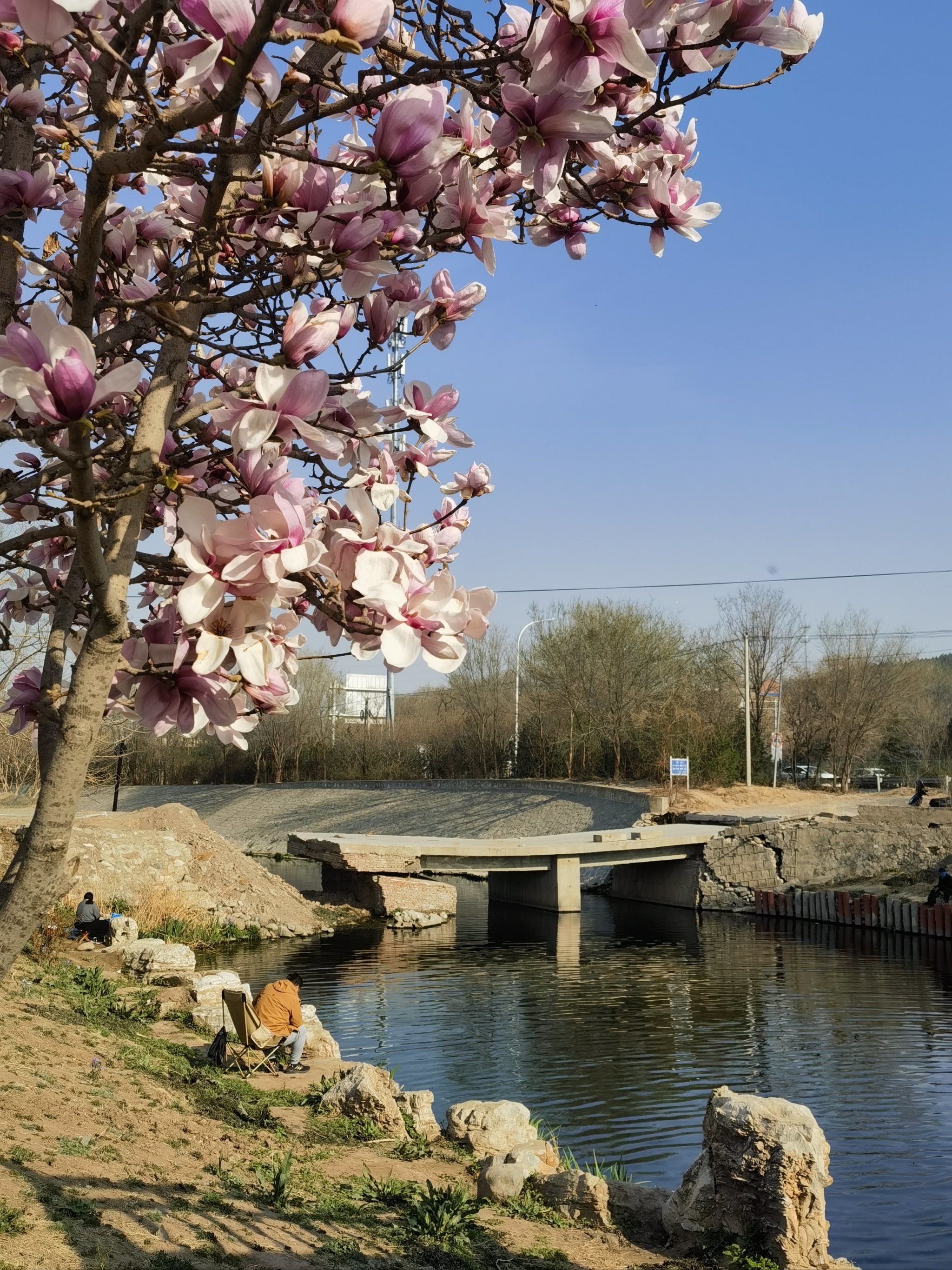 小桥流水花草岸
