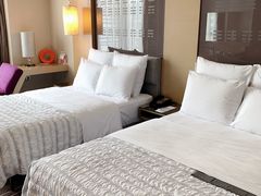 -青岛富力艾美酒店