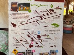 -大象粑粑造纸公园