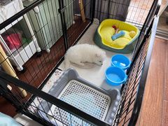 -FAELING PETS美天灵宠物(富力广场店)